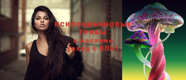 spice Дмитровск