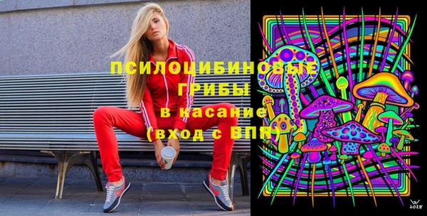 spice Дмитровск